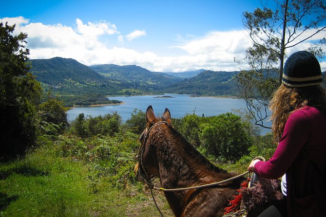 Andes Mountains Horseback Riding - Half Day - Key highlights worth planning for