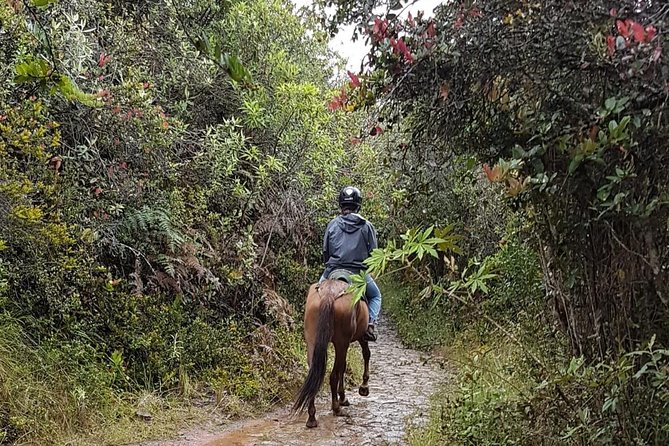 Andes Mountains Horseback Riding - Half Day - A fast way to see the Andes right outside Bogotá