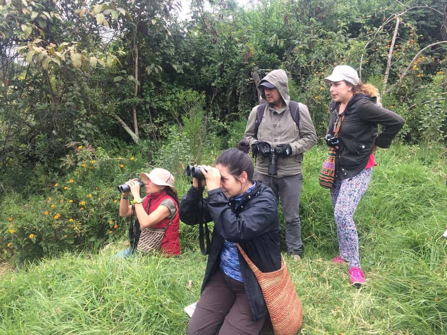 Birdwatching Day Tour at Chicaque Natural Park - Key things you’ll notice on this birdwatching day