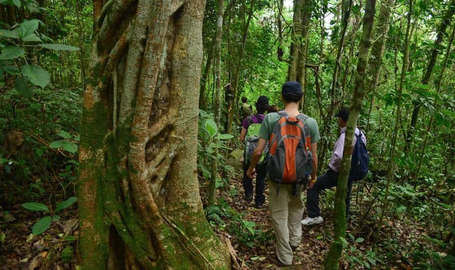 Birdwatching Day Tour at Chicaque Natural Park - Getting out of Bogotá: the part you’ll feel immediately