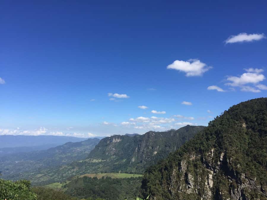 Birdwatching Day Tour at Chicaque Natural Park - Stop 1: Bogotá pickup—why it affects your birding time