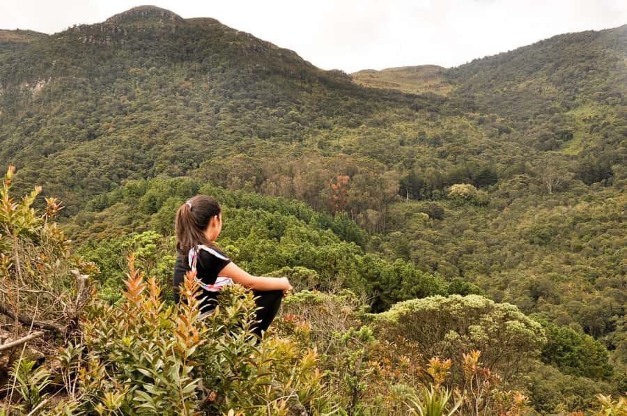 Bogota: East Hills Mountain Hike - Hitting the trailhead: what the first stretch really feels like