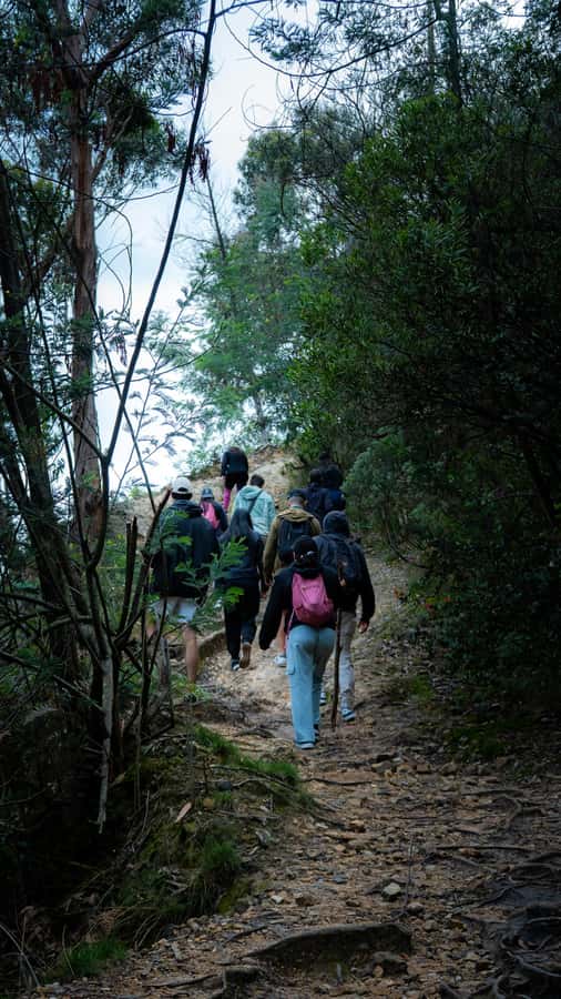 Bogota: East Hills Mountain Hike - Who should book this, and who should skip it