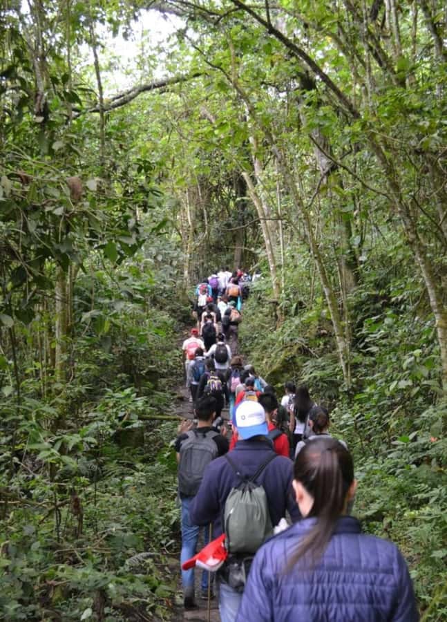 Bogota: Explore the forest and bird watching at Chicaque Natural Park - Why Chicaque is a smart day trip from Bogotá