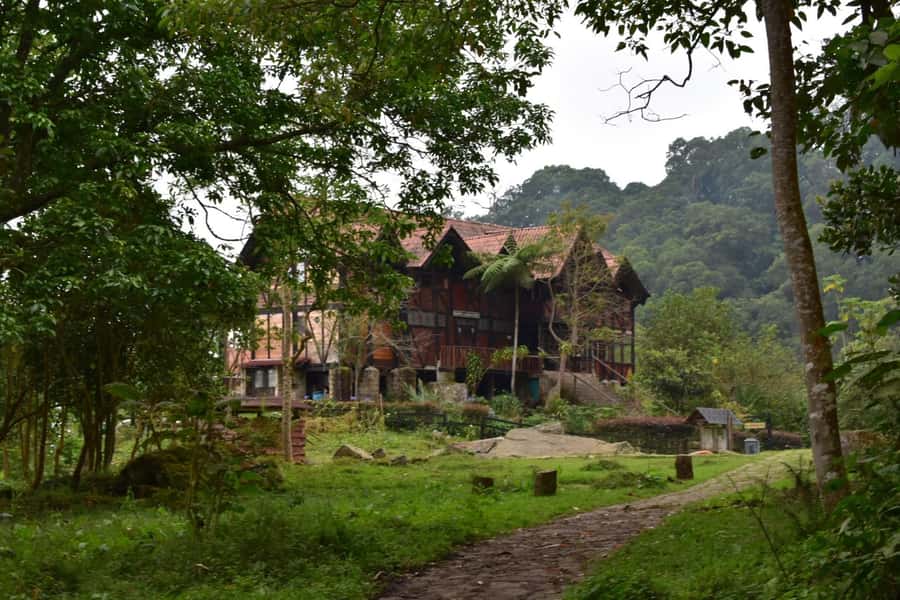 Bogota: Explore the forest and bird watching at Chicaque Natural Park - Guided cloud-forest hiking and bird watching that actually makes sense