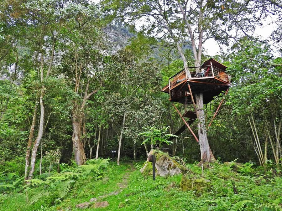 Bogota: Explore the forest and bird watching at Chicaque Natural Park - Lunch inside the park plus time to watch birds and photograph