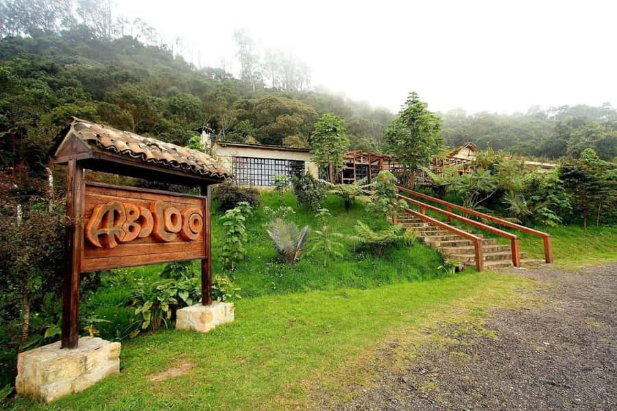 Bogota: Explore the forest and bird watching at Chicaque Natural Park - Price and value: what you’re really paying for at $127