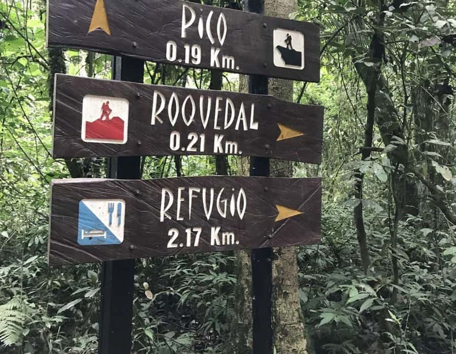 Bogota: Explore the forest and bird watching at Chicaque Natural Park - Who should book this Chicaque tour (and who should think twice)