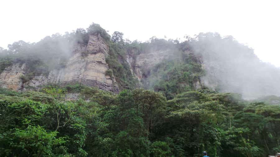 Bogota: Explore the forest and bird watching at Chicaque Natural Park - Should you book Chicaque with Encanto Colombiano Tours?