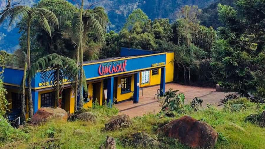 Bogota: Explore the forest and bird watching at Chicaque Natural Park - From Bogotá pickup to trail start: how the day is paced