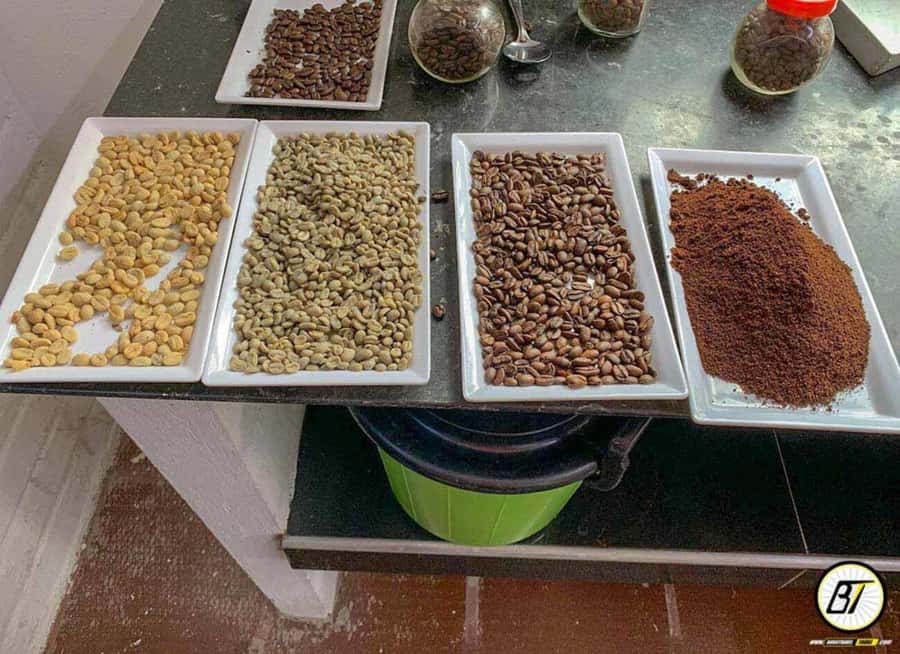 Bogotá: Guided Coffee Tour with Lunch, and Pickup & Drop-Off - Bogotá to Hacienda Coloma: how the day starts in the car