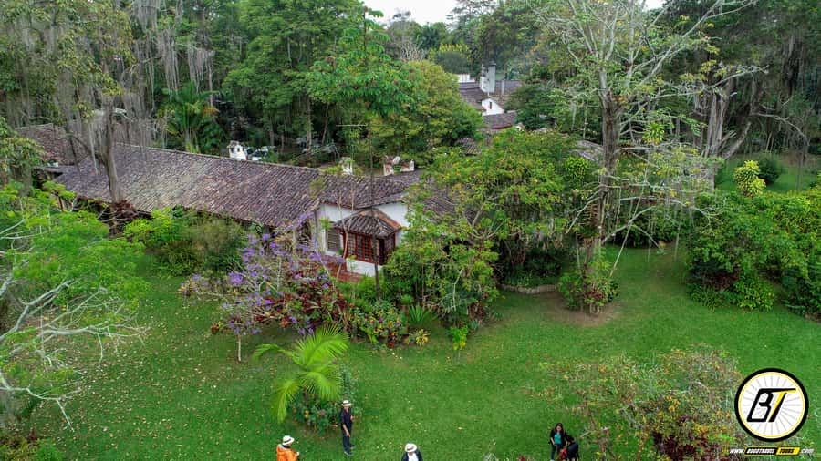 Bogotá: Guided Coffee Tour with Lunch, and Pickup & Drop-Off - Learning coffee farming basics: crops, bean types, and best picks