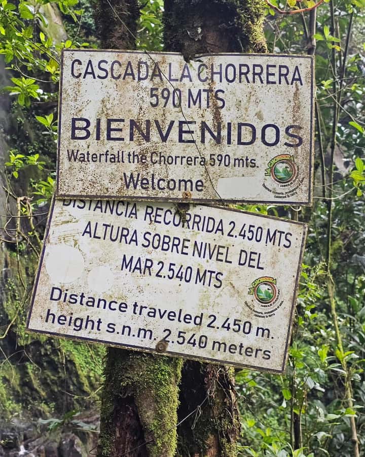 Bogota: Hike to La Chorrera Waterfall, El Chiflón and Guadalupe Hill - Cerro de Guadalupe: one last look back at Bogotá