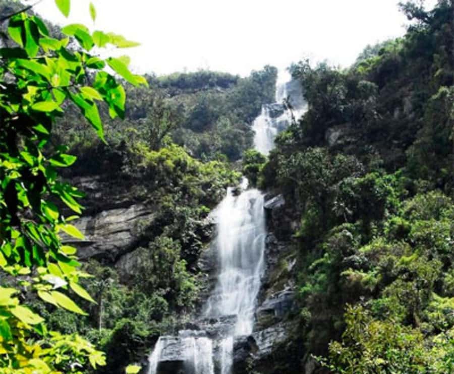 Bogota: La Chorrera Waterfall Guided Hike and Guadalupe Hill - Why La Chorrera and Guadalupe Hill is such good value