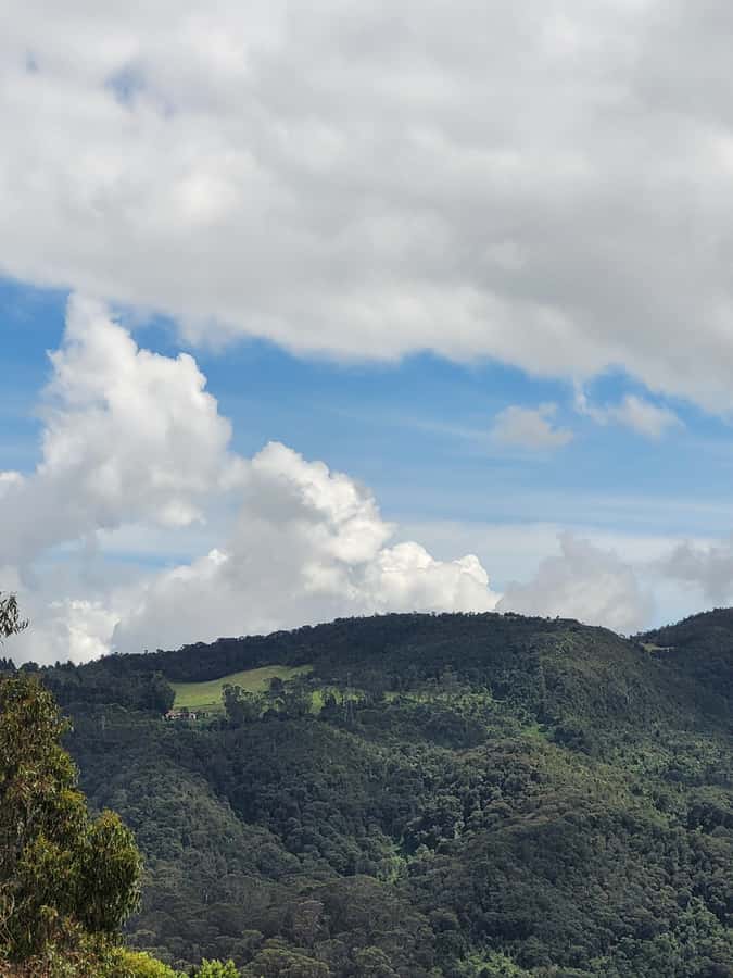 Bogota: Private Tour to Monserrate and Guadalupe - Guadalupe Hill: greener trails and a bright summit sanctuary
