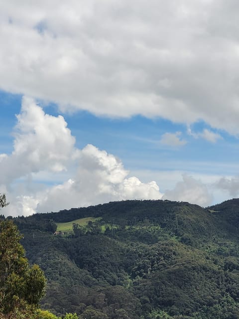 Bogota: Private Tour to Monserrate and Guadalupe - Guides, language, and the human touch that makes it worth $78
