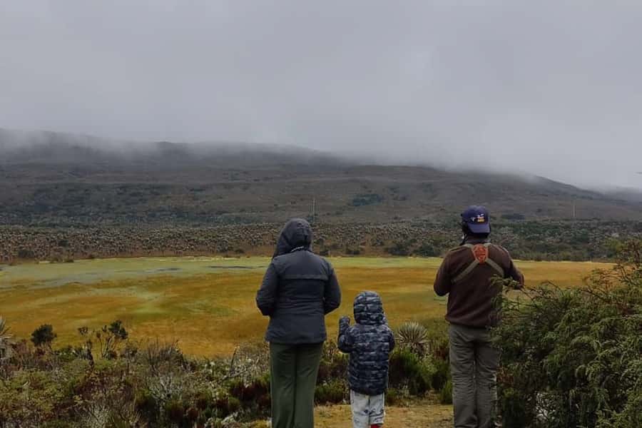 Bogotá: Sumapaz National Park Hike Tour - Entering the Sumapaz Páramo: Why This Hike Feels Different