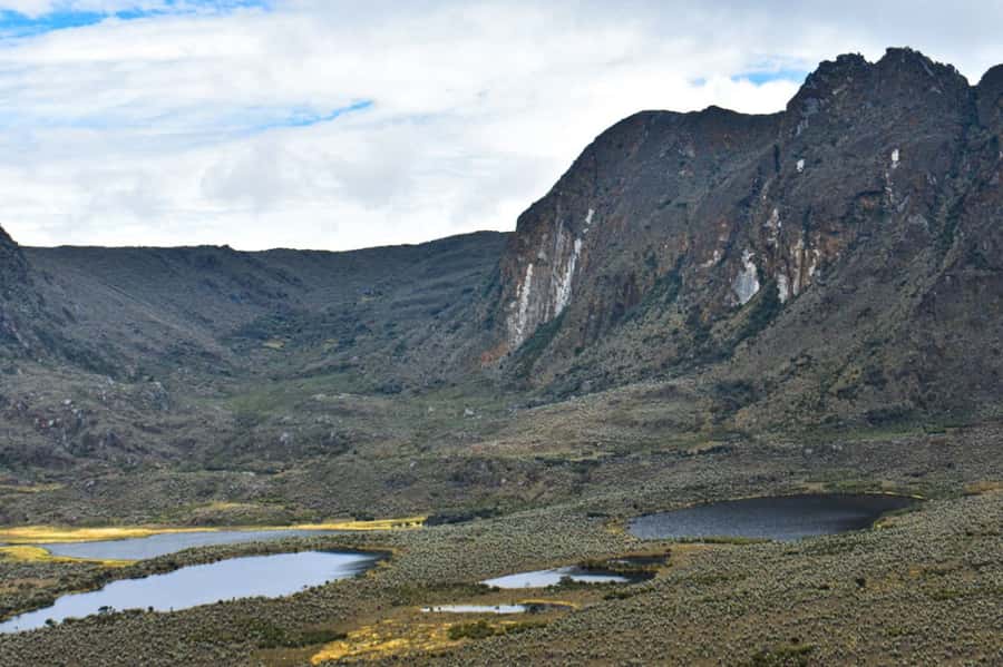 Bogotá: Sumapaz National Park Hike Tour - The Hike Itself: Muddy Trails, Mist, and Páramo Plants