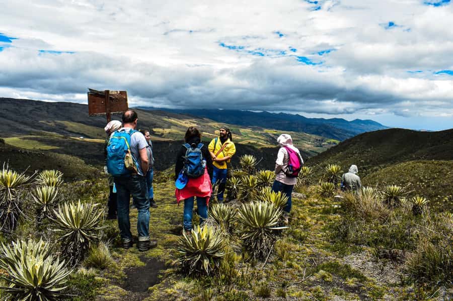 Bogotá: Sumapaz National Park Hike Tour - Why Paramos Preservation Isn’t a Talking Point