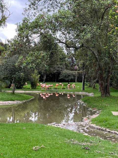 BOGOTA: Tour of Jaime Duque Park, Zoo, and Aerospace Museum - What to bring and how to plan your pace