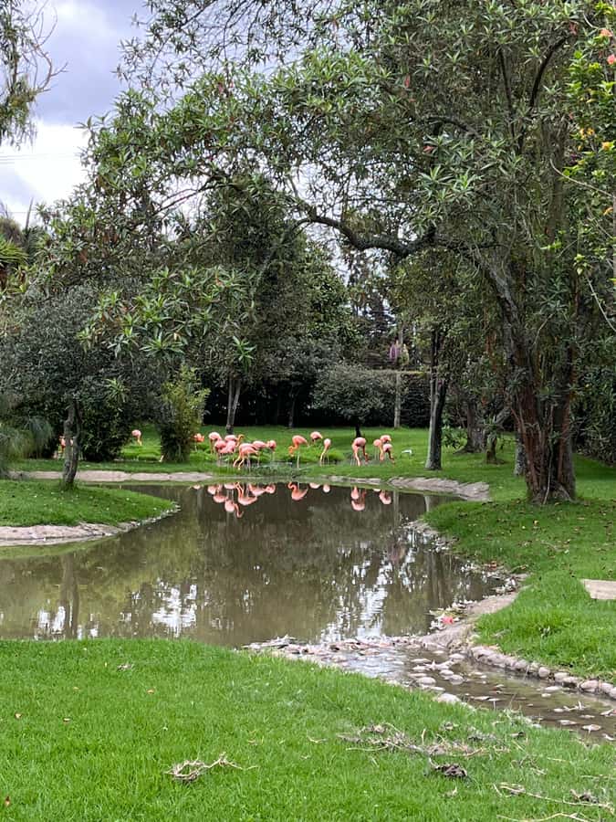 BOGOTA: Tour of Jaime Duque Park, Zoo, and Aerospace Museum - Aerospace Museum: aircraft and space history without the textbook feel