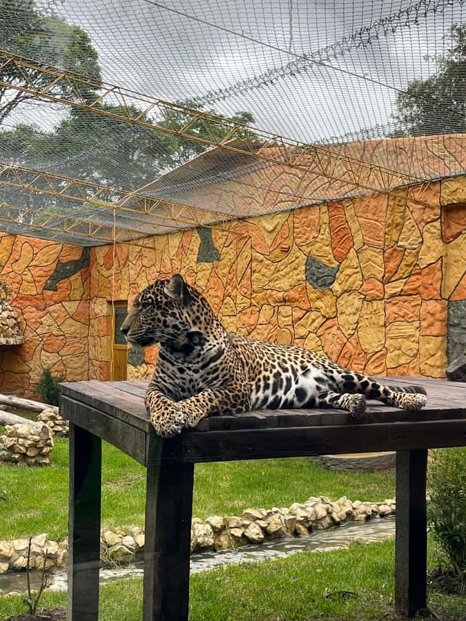BOGOTA: Tour of Jaime Duque Park, Zoo, and Aerospace Museum - The Tocancipá stop: a quick taste of the area