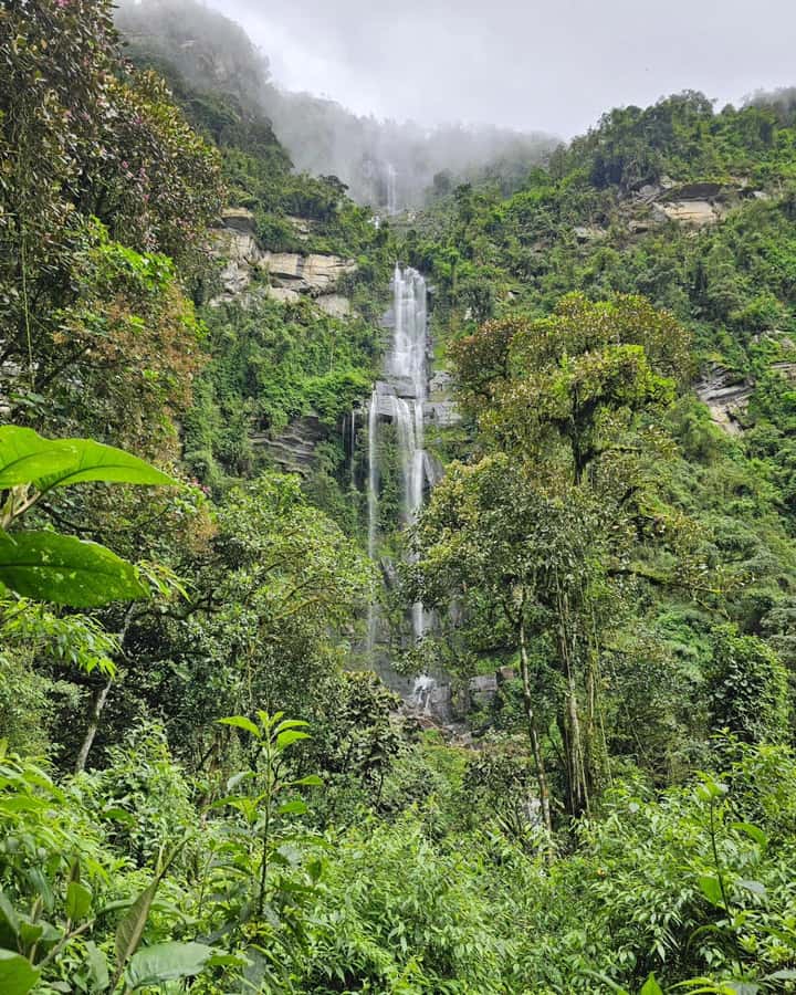 Bogotá: Visit Colombia's Highest Waterfalls & Guadalupe Hill - Key things to know before you go
