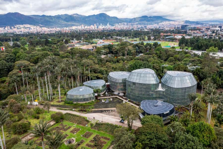 BOGOTA: Visit to the Botanical Garden and Ugly Betty's House - Botanical Garden of José Celestino Mutis: Ecosystems You Can Walk Through