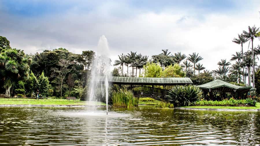 BOGOTA: Visit to the Botanical Garden and Ugly Betty's House - Who This Tour Suits Best