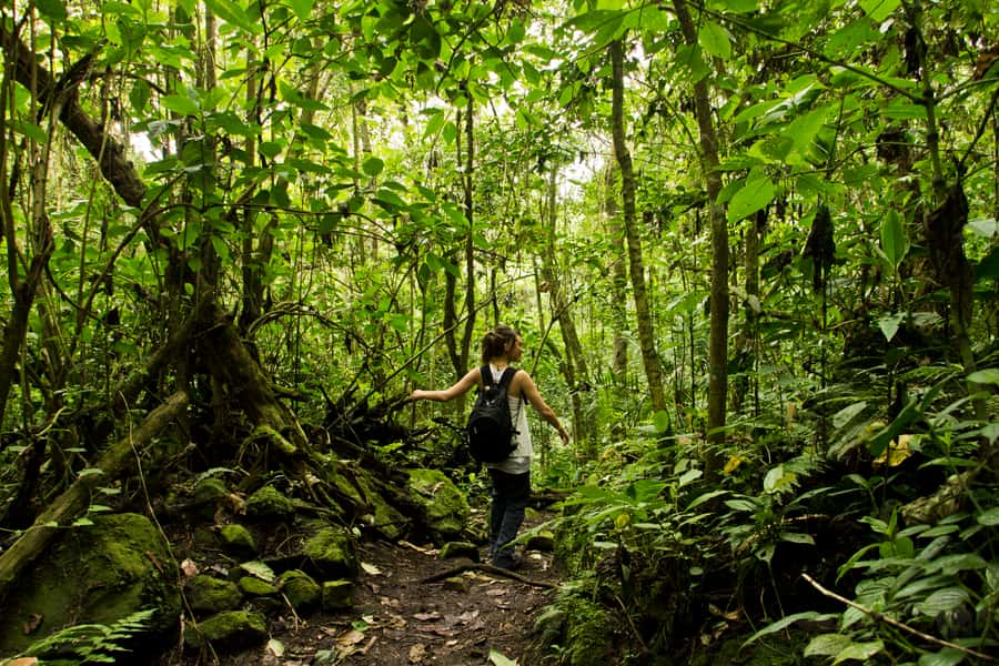 Chicaque Full-Day Trip from Bogotá - Key things that make Chicaque worth your time