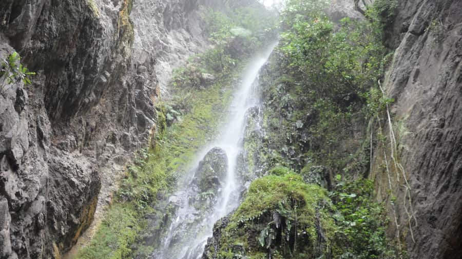 Chicaque Full-Day Trip from Bogotá - Chicaque cloud forest: the best kind of Bogotá escape