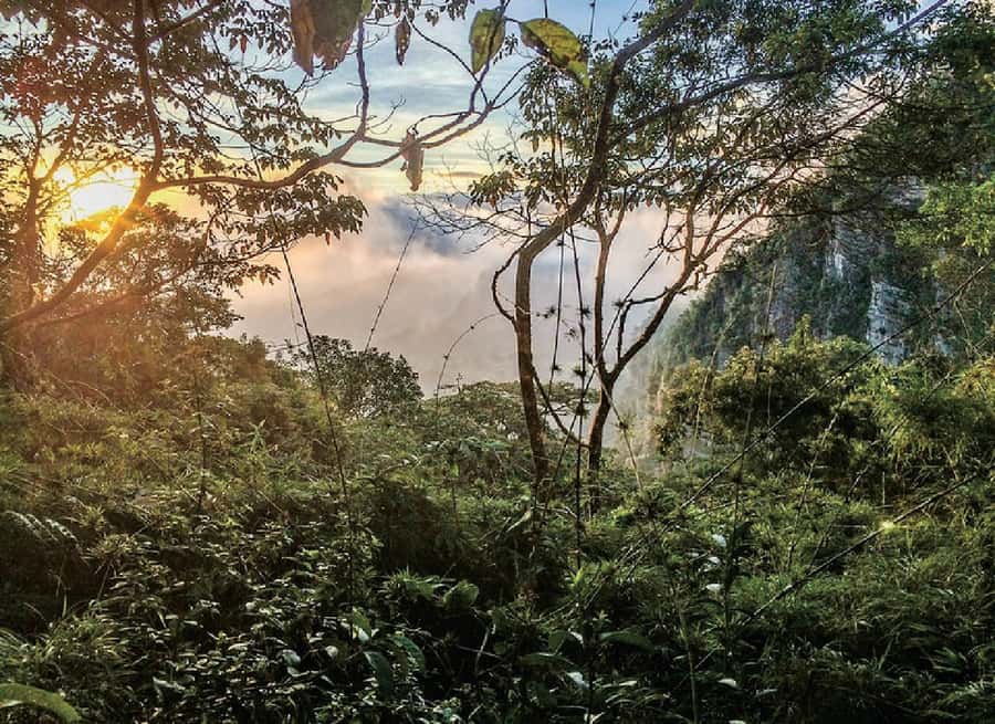 Chicaque Full-Day Trip from Bogotá - Nine well-marked trails (and why shoes matter)