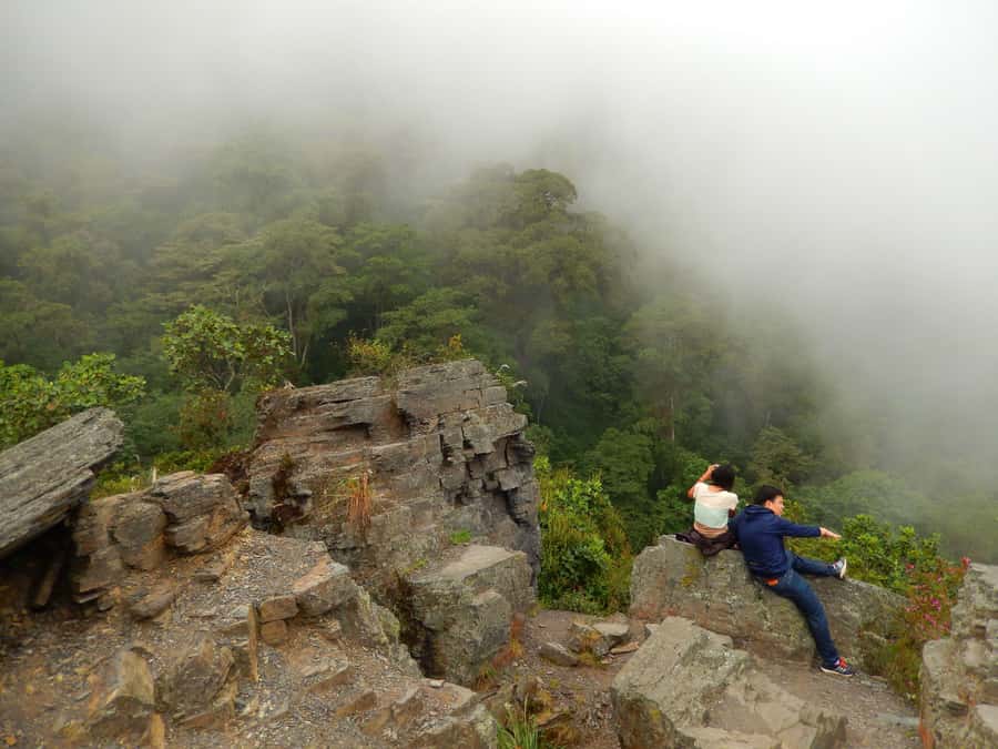 Chicaque Full-Day Trip from Bogotá - What you actually walk through: streams, oak forest, viewpoints