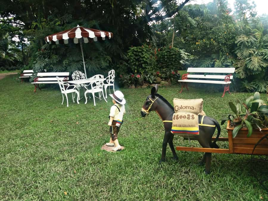 Coffee Experience: Hacienda Coloma Tour from Bogotá - Key highlights worth planning for
