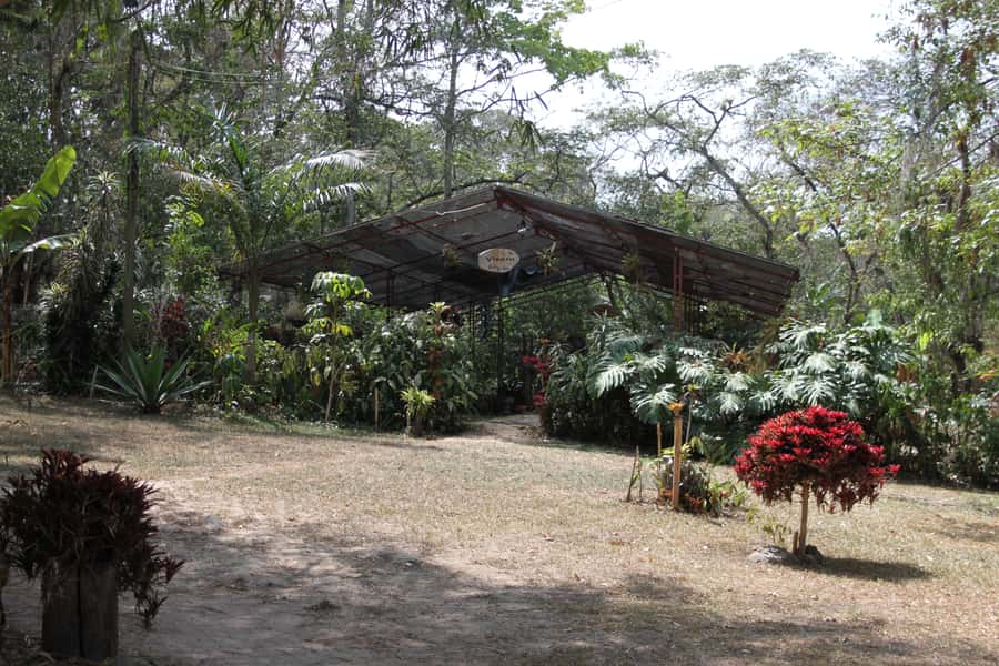 Coffee Experience: Hacienda Coloma Tour from Bogotá - Who This Tour Suits Best (and Who Should Think Twice)