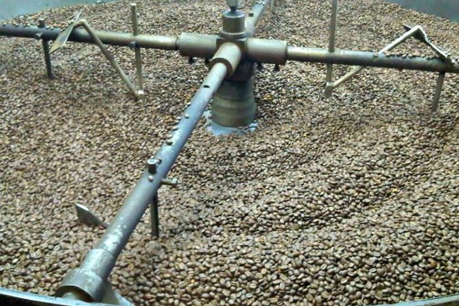 Coffee Farm Experience Private Day Tour - Why a private coffee farm day from Bogotá feels different