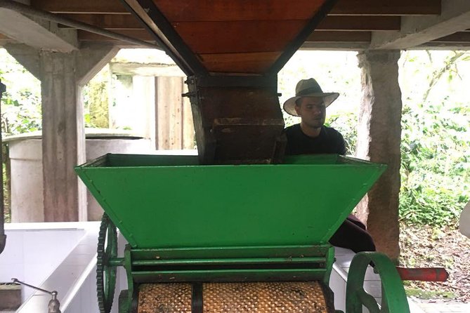 Coffee Farm Experience Private Day Tour - Coffee tastings and coffee liquor: what the senses teach