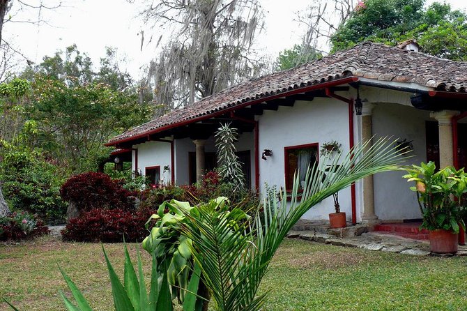 Coffee Farm Experience Private Day Tour - Lunch with your traditional Colombian dish: worth it if you hate planning