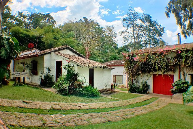 Coffee Farm Experience Private Day Tour - The most praised part: guides who bring Colombia into the room