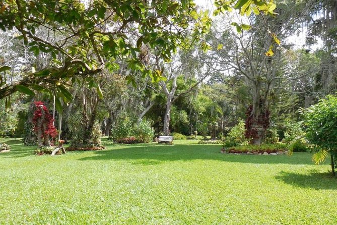 Coffee Farm Experience Private Day Tour - Price and value at $110: what you’re paying for