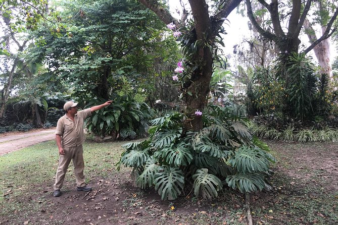 Coffee Farm Experience Private Day Tour - Who should book this Bogotá coffee farm experience?