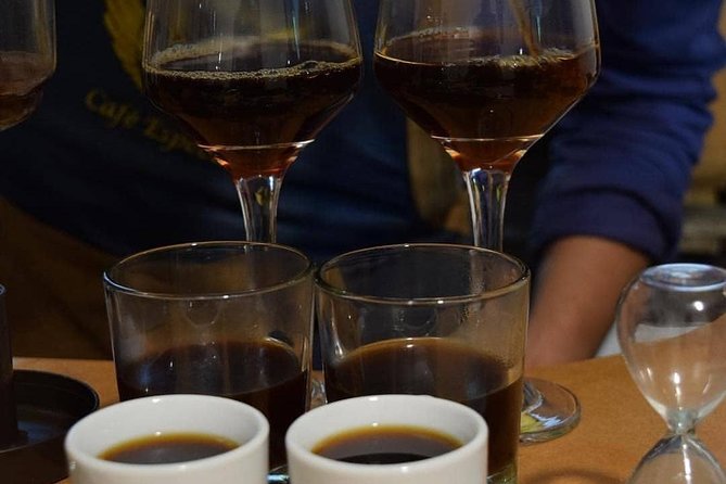 Coffee tasting experience at Divino Café Especial - Four specialty coffees, tested across multiple extraction methods