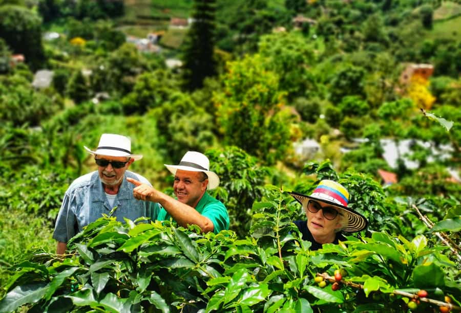 From Bogota: 5 hour guided coffe farm tour - All included - Getting to Ubaque: Fast enough to feel like a day trip