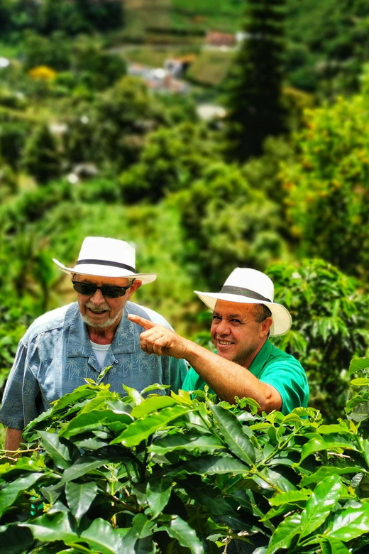 From Bogota: 5 hour guided coffe farm tour - All included - What you get for $118: Value that’s more than the coffee
