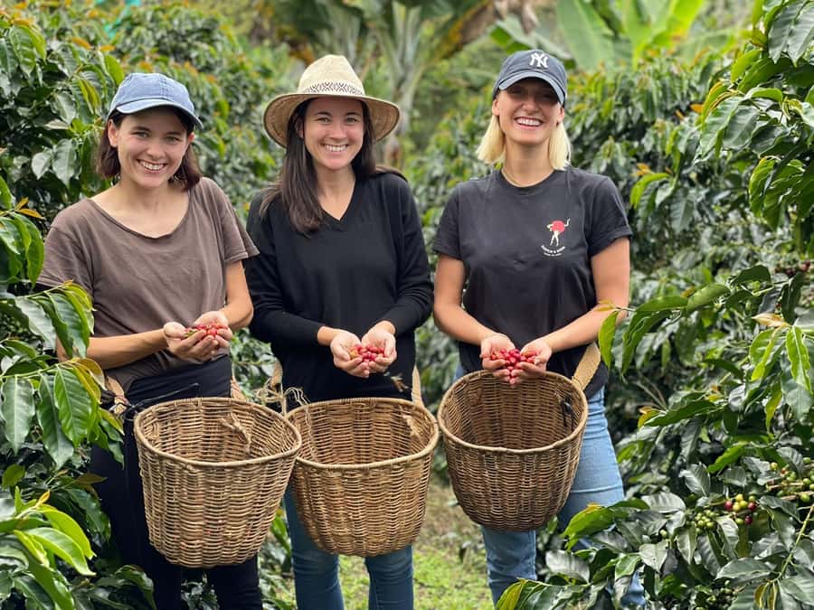 From Bogota: 5 hour guided coffe farm tour - All included - The guided farm walk: Learning happens while you move