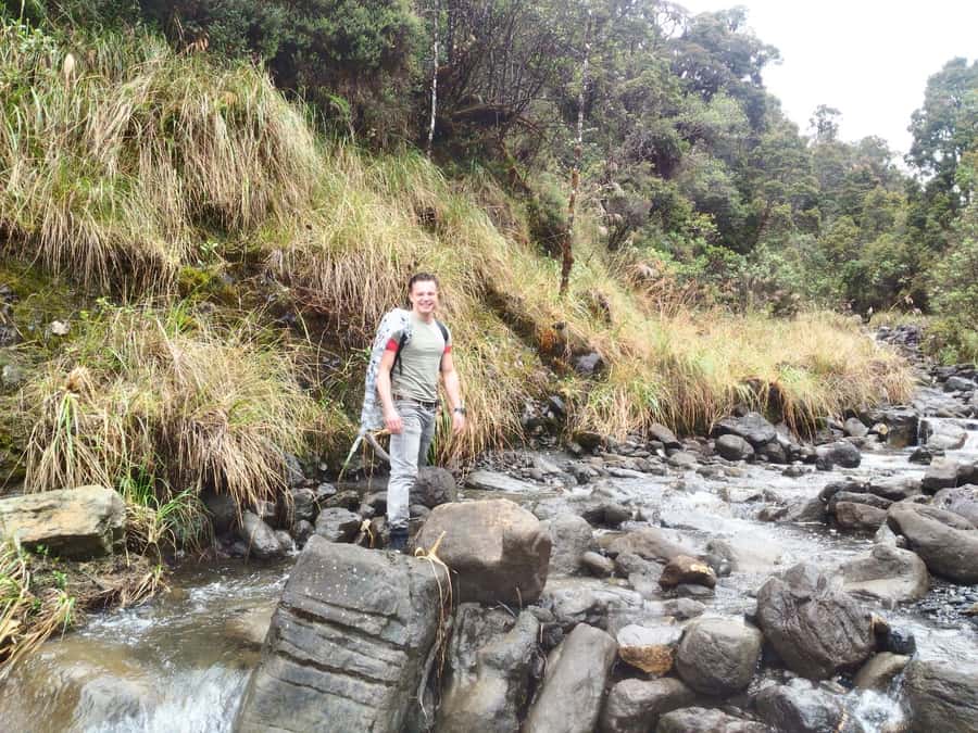 From Bogotá: Chingaza National Park Eco Tour - Chingaza National Park: why this feels special from Bogotá