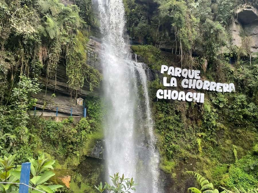 From Bogotá: Chingaza National Park Eco Tour - What’s included for $158, and how lunch changes the value