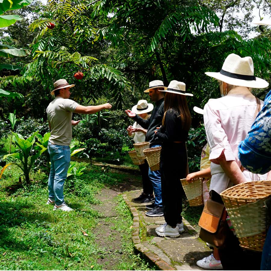 From Bogotá: Coffee Farm and Tequendama Falls Tour - Key highlights you’ll actually care about