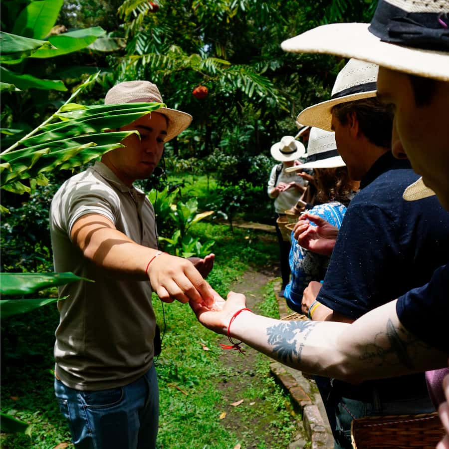 From Bogotá: Coffee Farm and Tequendama Falls Tour - Bogotá to the Countryside: What the drive teaches you