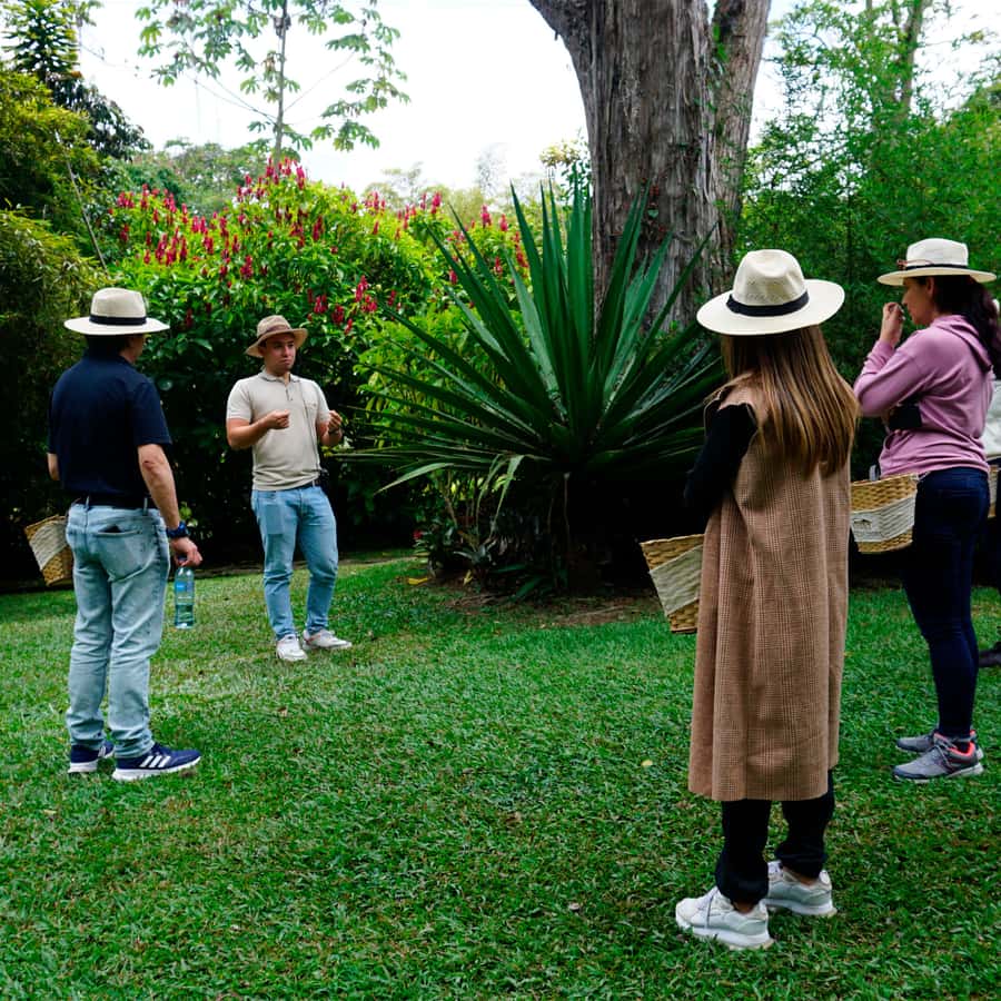 From Bogotá: Coffee Farm and Tequendama Falls Tour - Should you book the Coffee Farm and Tequendama Falls tour?